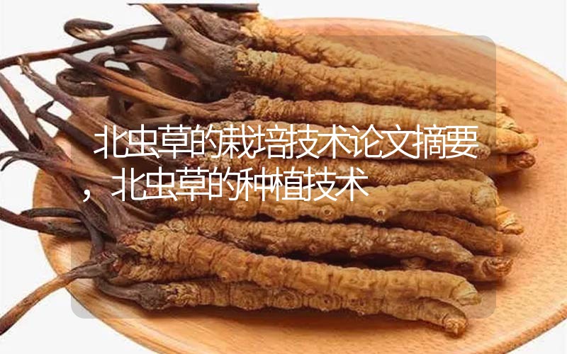 北蟲(chóng)草的栽培技術(shù)論文摘要，北蟲(chóng)草的種植技術(shù)