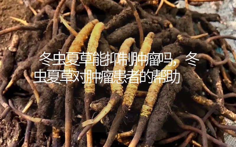 冬蟲夏草能抑制腫瘤嗎？冬蟲夏草對腫瘤患者的幫助