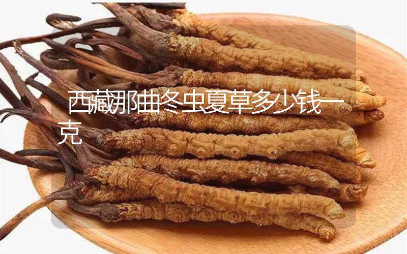 西藏那曲冬蟲夏草多少錢一克？