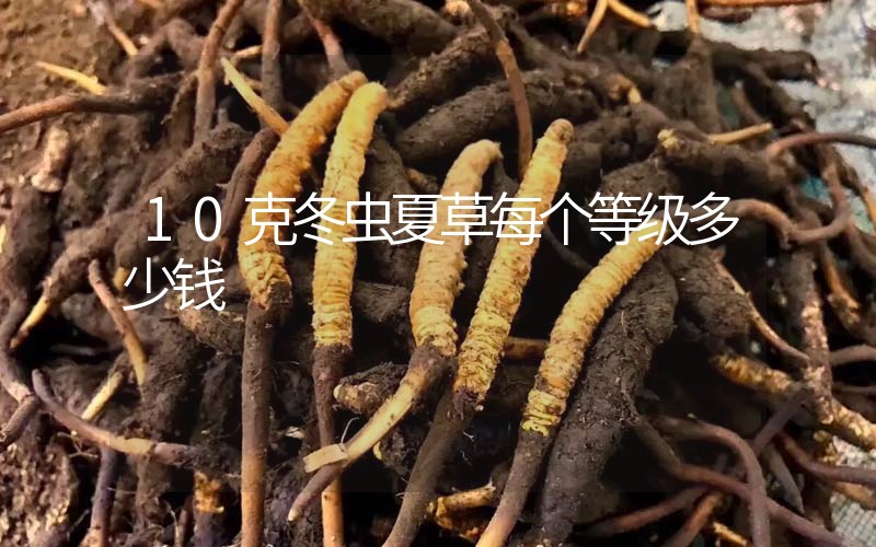 10克冬蟲夏草每個(gè)等級(jí)多少錢？
