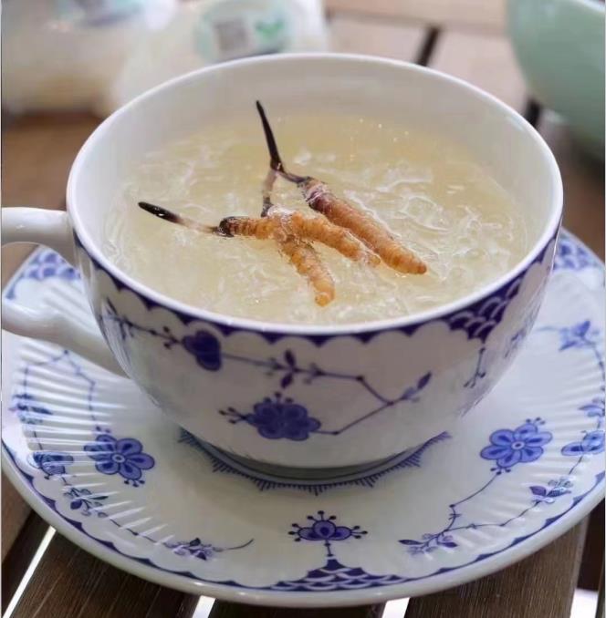 養(yǎng)生小竅門：冬蟲夏草燉什么好喝？
