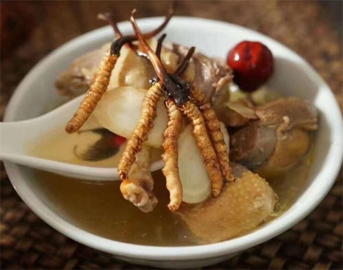 冬蟲夏草可以燉海鯽魚嗎？