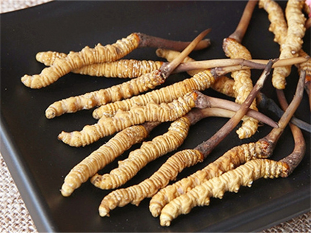 真的冬蟲夏草什么價格？影響冬蟲夏草價格波動的3個關(guān)鍵因素