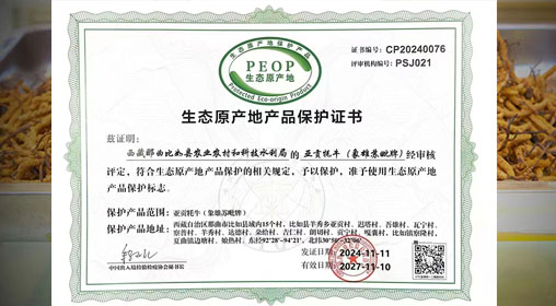 德耀娜秀 奮進比如║熱烈祝賀！比如縣“亞貢牦?！比脒x農(nóng)業(yè)農(nóng)村部全國名特優(yōu)新農(nóng)產(chǎn)品名錄