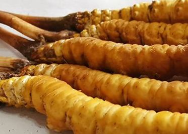 <a href=http://m.gzpim.com/sdph/zf/ target=_blank class=infotextkey>珍峰冬蟲夏草</a>主要的銷售模式