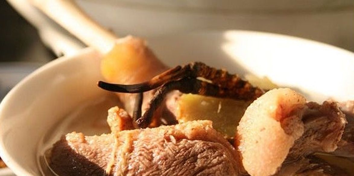 冬蟲(chóng)夏草怎么吃？多種食用方法全解析