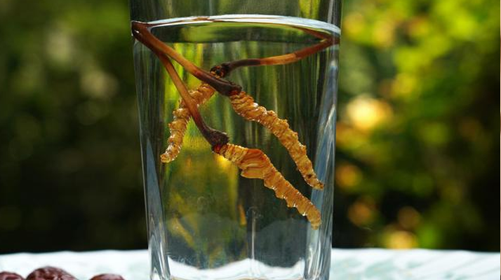 探秘五糧液冬蟲夏草酒價(jià)格:多維視角下的市場剖析