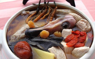 吃鮮冬蟲夏草會過敏嗎？