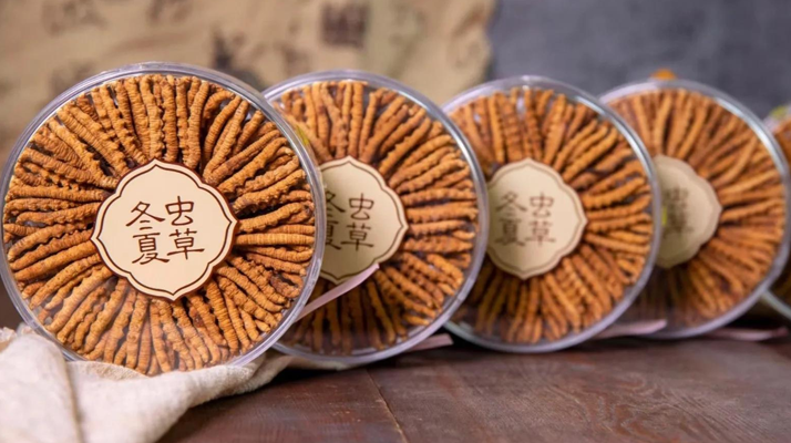 2025年7月冬蟲夏草價格行情公布！<a href=http://m.gzpim.com/jiage/ target=_blank class=infotextkey>蟲草價格</a>降了！