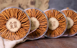 探尋上海冬蟲夏草市場(chǎng)：多渠道選購(gòu)指南