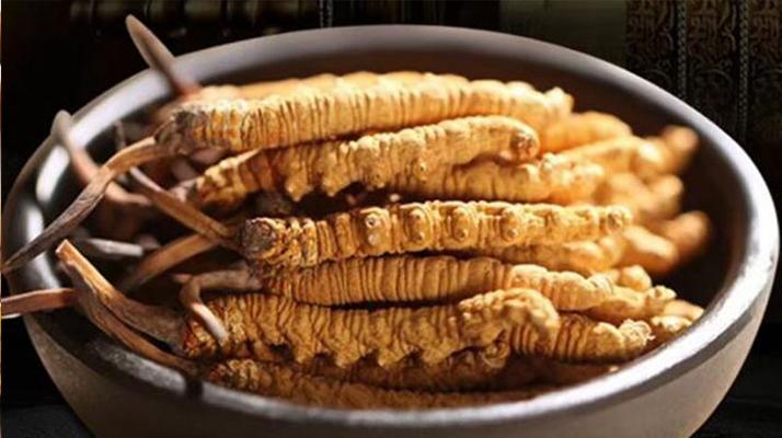 好的<a href=http://m.gzpim.com/jiage/ target=_blank class=infotextkey>冬蟲夏草多少錢</a>一克