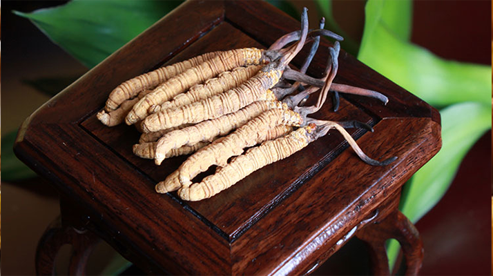 新鮮<a href=http://m.gzpim.com/jiage/ target=_blank class=infotextkey>冬蟲(chóng)夏草的價(jià)格</a>一根