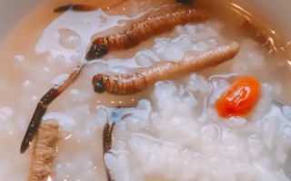 冬蟲夏草適合哪些人群？精準(zhǔn)匹配與禁忌提醒