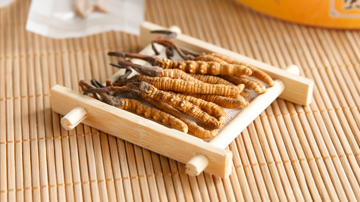 冬蟲夏草老鴨湯怎么燉？鮮香滋補的詳細做法與技巧