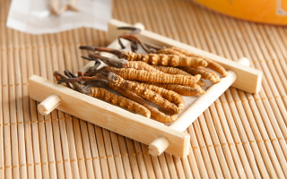 冬蟲夏草老鴨湯怎么燉？鮮香滋補的詳細做法與技巧