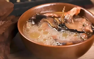 冬蟲夏草治什么病效果好？厘清輔助調理邊界與適用場景