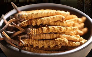 冬蟲夏草掰開后什么樣？從斷面細(xì)節(jié)識破品質(zhì)與真?zhèn)?> </div>
            <div   id=