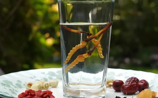 人參配蟲草泡酒，泡多久才好喝？咱跟你說實在的