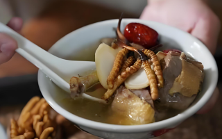 冬蟲夏草和什么一起燉可以治咳嗽？