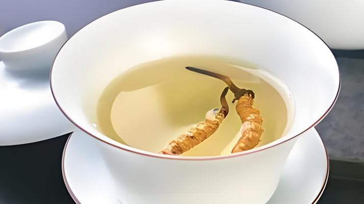 鮮冬蟲(chóng)夏草可以煮水喝嗎？有什么功效和作用？