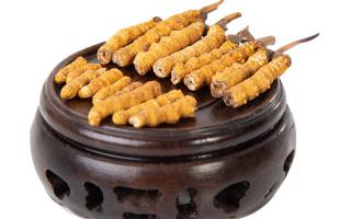 冬蟲夏草的頭期斷草好嗎？有沒有營(yíng)養(yǎng)價(jià)值？