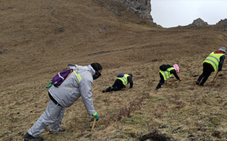 非法采挖蟲草的常見誤區(qū)、合規(guī)清單、采集證辦理流程與價(jià)值鑒定要點(diǎn)