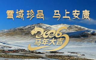 雪域高原藏珍品，2026愿您馬上安康——來自西藏那曲蟲草網(wǎng)的新春祝福